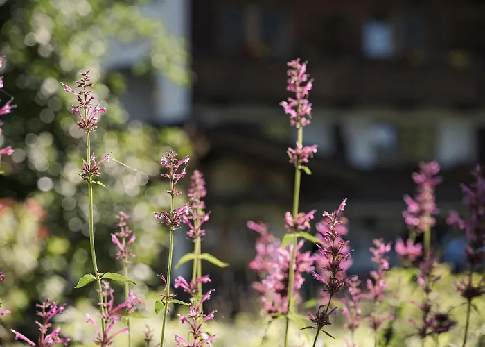 Biohotel Rastbichlhof 4*