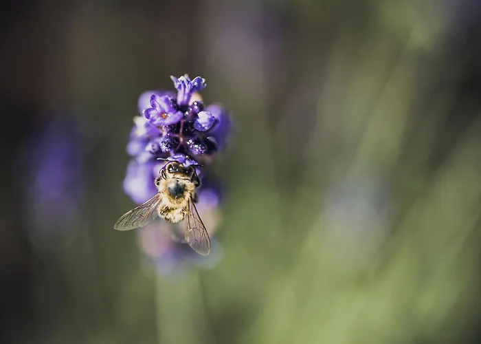 Biohotel Rastbichlhof Hotel