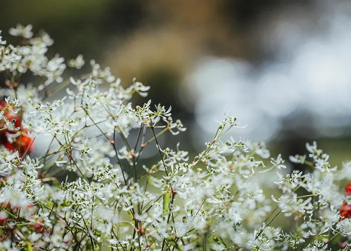 Biohotel Rastbichlhof Hotel 4*