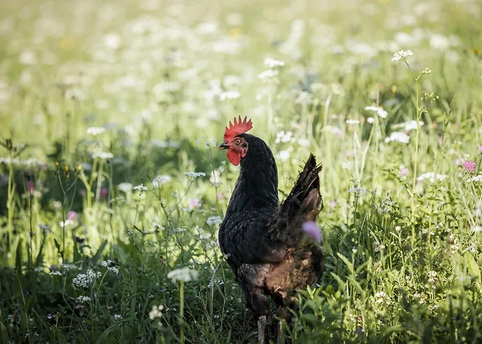 Biohotel Rastbichlhof Hotel 4*